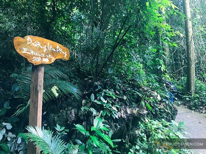 Paradise Cave in Phong Nha