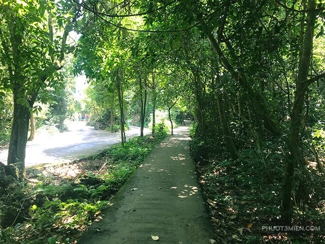 trekking động phong nha