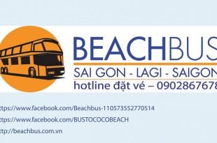 coco beach bus