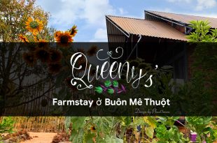 queeny farmstay