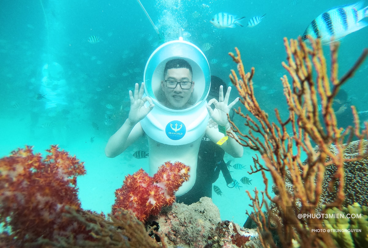 Review chuyến Đi Bộ Dưới Biển lặn ngắm san hȏ ở Cȏng Viên Namaste Phú Quốc