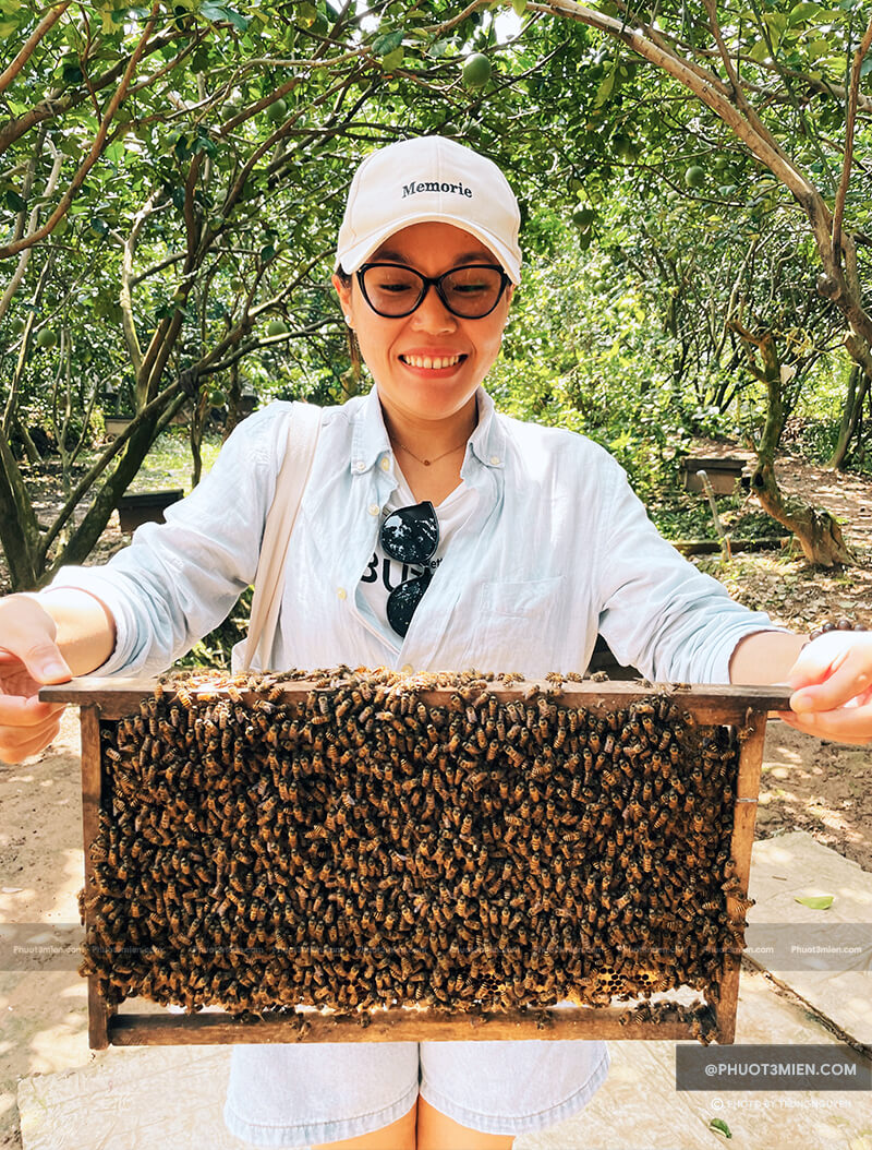 Bà Chín Honey Farm