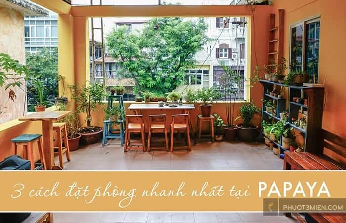 Hanoi Papaya, Homestay đẹp ở Hà Nội