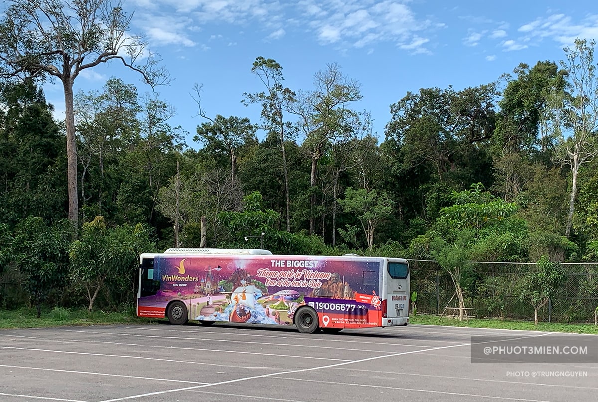 xe bus đi safari phú quốc