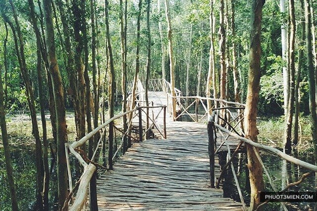 Cầu gỗ bên trong Rừng Tràm Tân Lập
