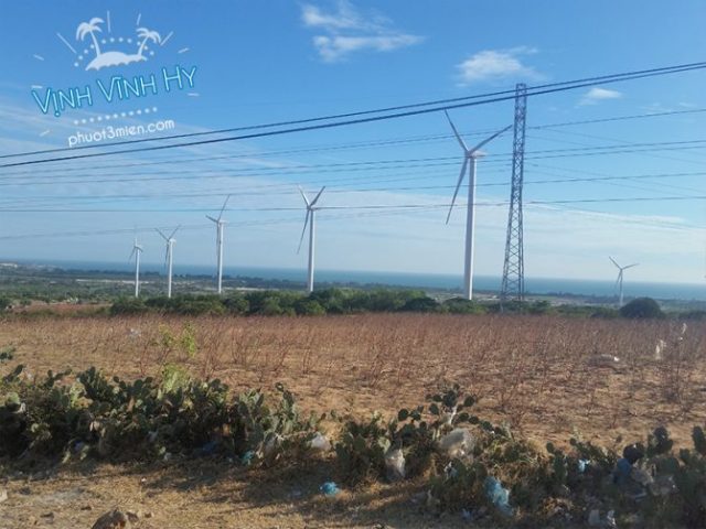 Cánh đồng điện gió ở Bình Thuận