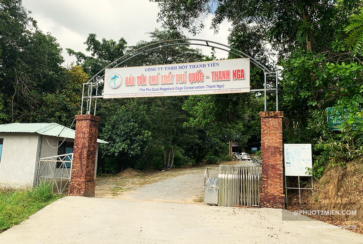 trại chó Thanh Nga - Trung tâm bảo tồn chó Phú Quốc