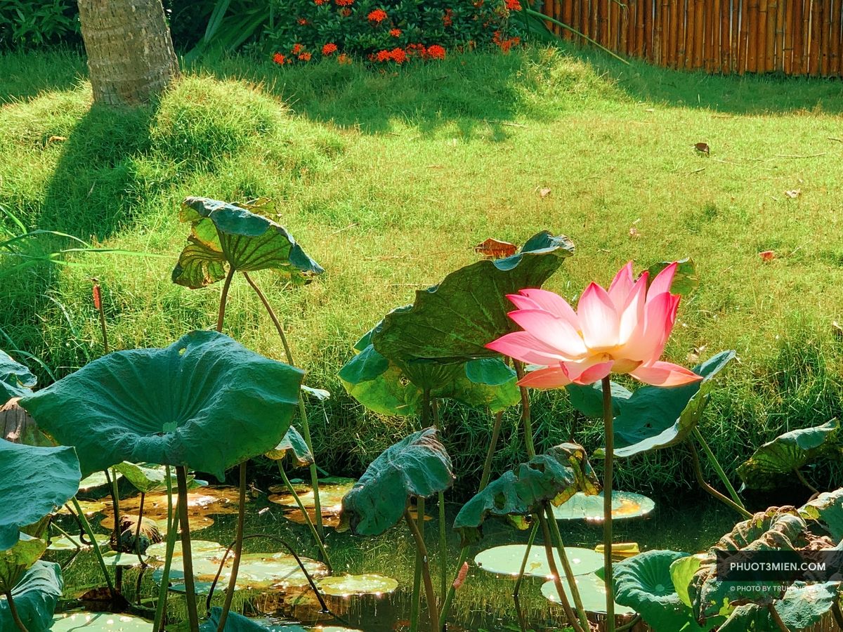 Trạm Dừng Chân Mekong Rest Stop Tiền Giang