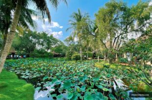 Trạm Dừng Chân Mekong Rest Stop Tiền Giang