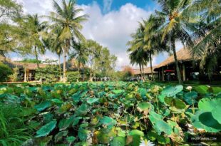 Trạm Dừng Chân Mekong Rest Stop Tiền Giang