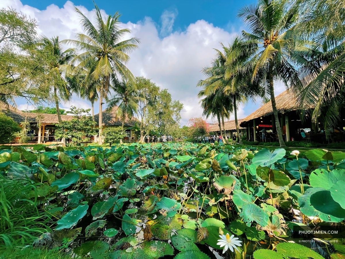 Trạm Dừng Chân Mekong Rest Stop Tiền Giang