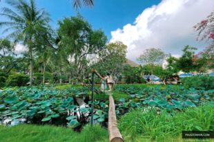 Trạm Dừng Chân Mekong Rest Stop Tiền Giang