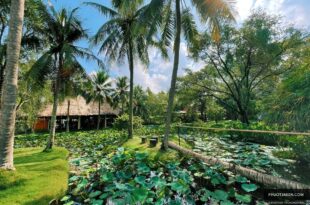 Trạm Dừng Chân Mekong Rest Stop Tiền Giang