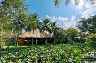 Trạm Dừng Chân Mekong Rest Stop Tiền Giang