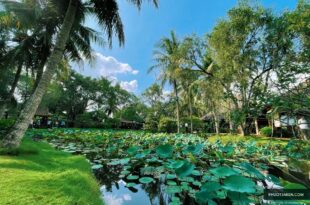 Trạm Dừng Chân Mekong Rest Stop Tiền Giang